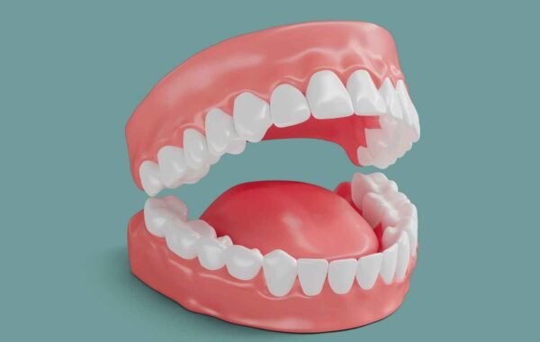 How-Many-Teeth-Do-Adults-Have